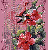 Hummingbird