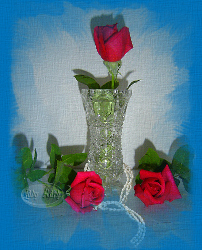 Three Roses